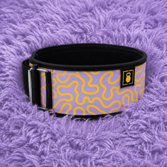 4" Weightlifting Belt | Mystery Mood